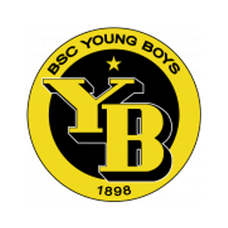 Young Boys crest